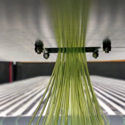 Fibra óptica del centellador.
