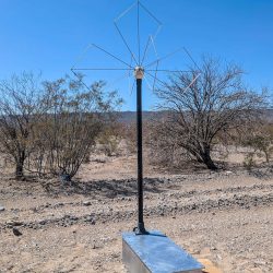 PXL_20251002_144853754.RAW-01.COVER