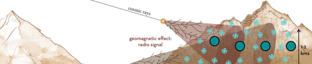 imagen rotulo_ingles